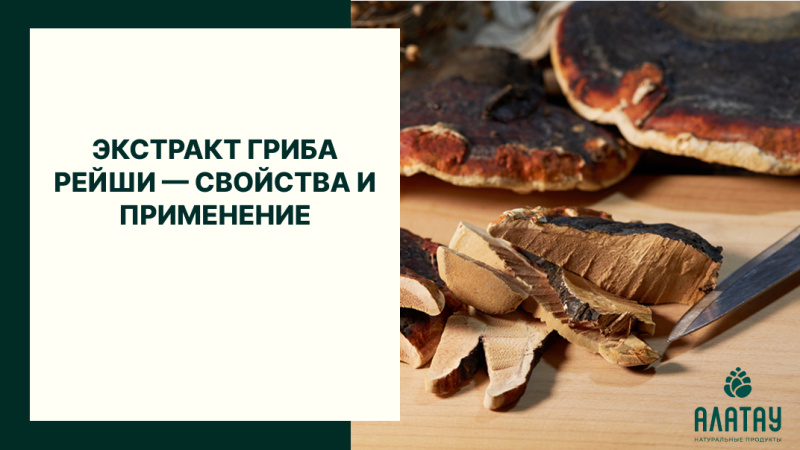 Экстракт гриба Рейши — свойства и применение Экстракт гриба Рейши — свойства и применение