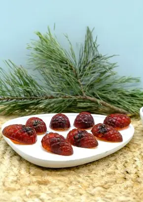 Мармелад с сосновой шишкой, 110 г Мармелад с сосновой шишкой, 110 г