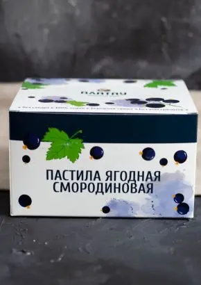 Пастила без сахара ягодная смородиновая 900 г Пастила без сахара ягодная смородиновая 900 г