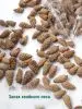 Мульча для сада из шишек целая 500 гр Мульча для сада из шишек целая 500 гр