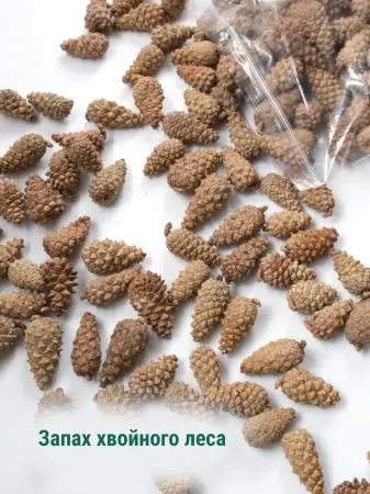 Мульча для сада из шишек целая 500 гр Мульча для сада из шишек целая 500 гр