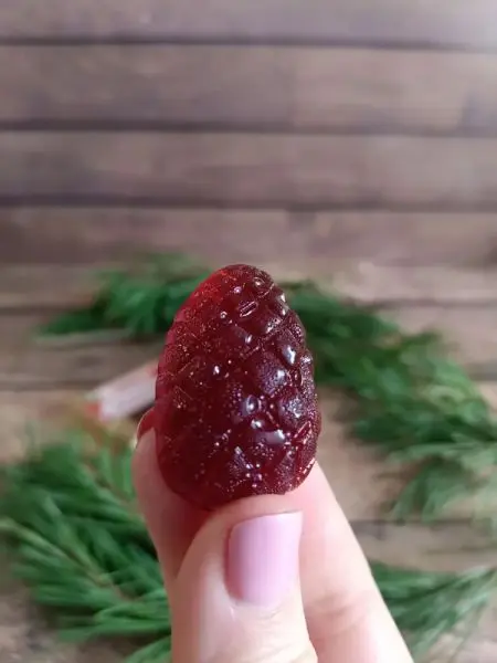 Мармелад ягодный Брусничка, 1кг Мармелад ягодный Брусничка, 1кг