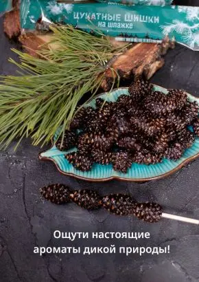 Цукаты из сосновых шишек на шпажке 25 г Цукаты из сосновых шишек на шпажке 25 г