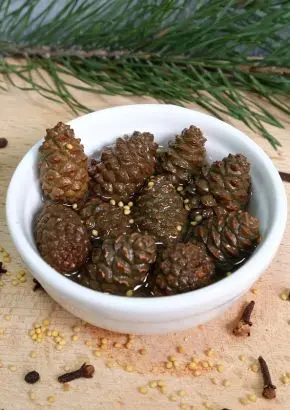Каперсы из сосновых шишек маринованные с пряностями, 200 мл