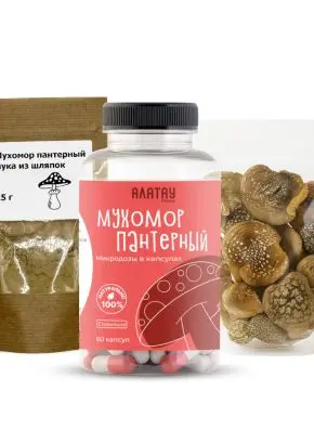 Комбо набор Пантерный 3в1: микродозинг из мухомора, сушеные шляпки и мука из шляпок